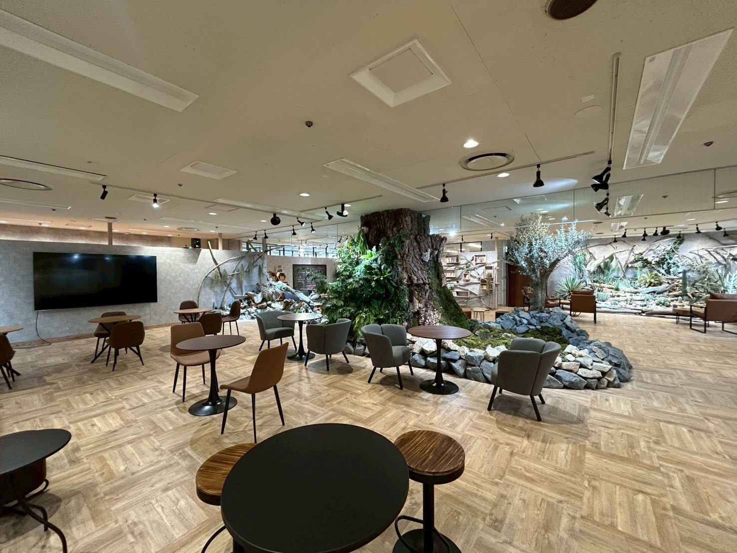 屋内ガーデン